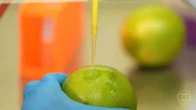 Estudo cria produto que combate fungos em frutas sem agrotóxicos 2 Pesquisadores brasileiros desenvolvem biodetergente capaz de prolongar a vida util de frutas e legumes