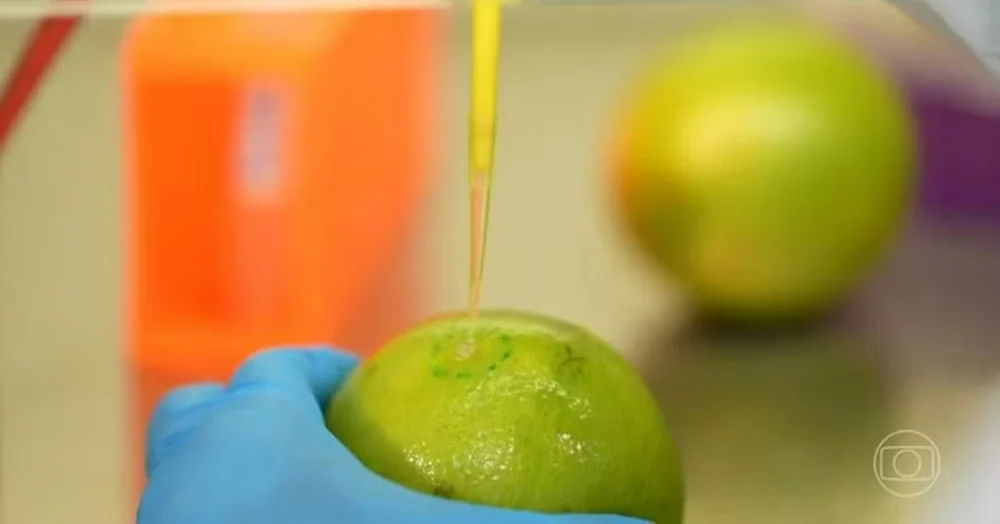 Pesquisadores brasileiros desenvolvem biodetergente capaz de prolongar a vida util de frutas e legumes