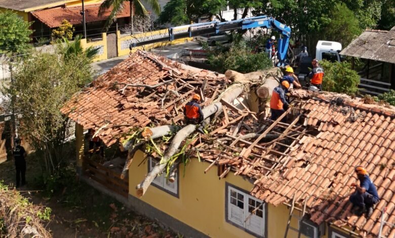 Árvore atinge casa em Itaipuaçu e mobiliza Defesa Civil de Maricá 9 arvore telhado scaled e1777389664227