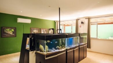 Maricá promove Semana do Meio Ambiente com trilhas, plantio e ações gratuitas 2 Marica promove Semana do Meio Ambiente com trilhas plantio e acoes educativas