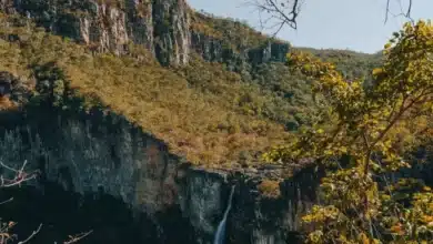 Ecoturismo cresce e destaca destinos naturais no Brasil 5 Parque Nacional dos Viadeiros lanca trilha noturna