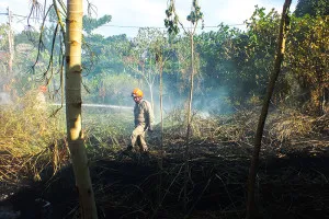Maricá: Bombeiros controlam princípio de incêndio ao lado de creche 10 Incêndio atingiu terreno ao lado de creche próximo ao Centro de Maricá. (foto: Mauro Luis / Maricá Info)