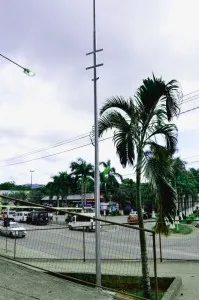 Postes das câmeras de videomonitoramento começam a ser instalados em Maricá 7 Postes, que já começaram a ser instalados no Centro, possuem sete metros de altura. (foto: Fernando Silva)