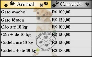 Projeto permite castração de animais a preços mais acessíveis em Maricá 8 Confira os preços para castração.