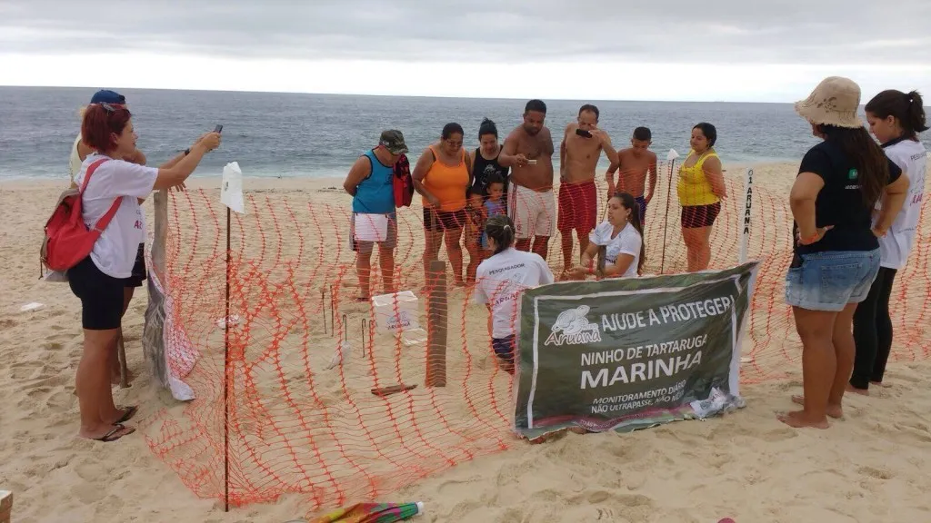 Maricá: Pesquisadores trocam local de ninho de tartaruga marinha para proteger os ovos 11 Fotos: Clarildo Menezes