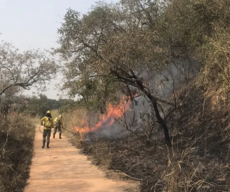 Estiagem faz aumentar focos de incêndios em Maricá 7 apa marica incendio