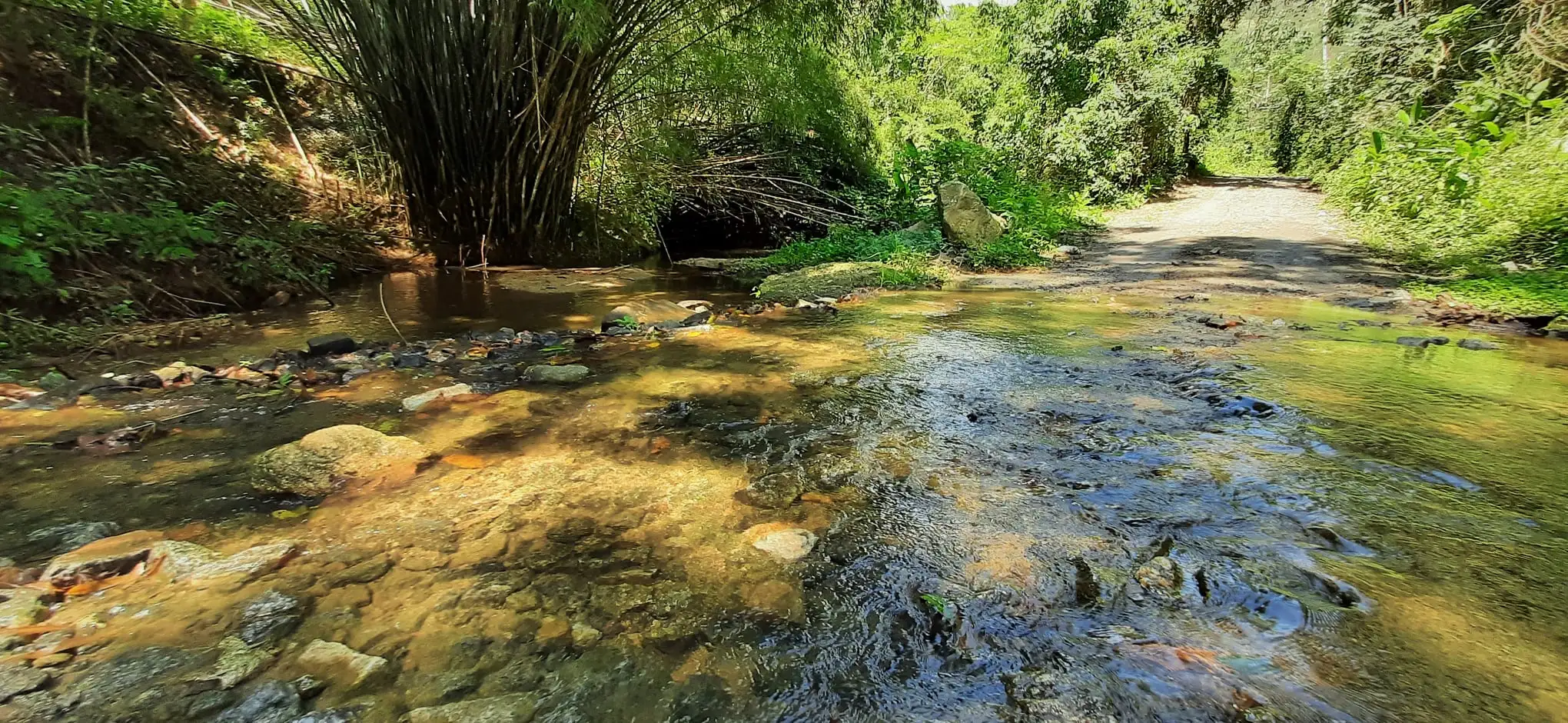 Circuito Ecológico leva trilheiros ao Rio Ubatiba neste sábado (02) 8 circuito