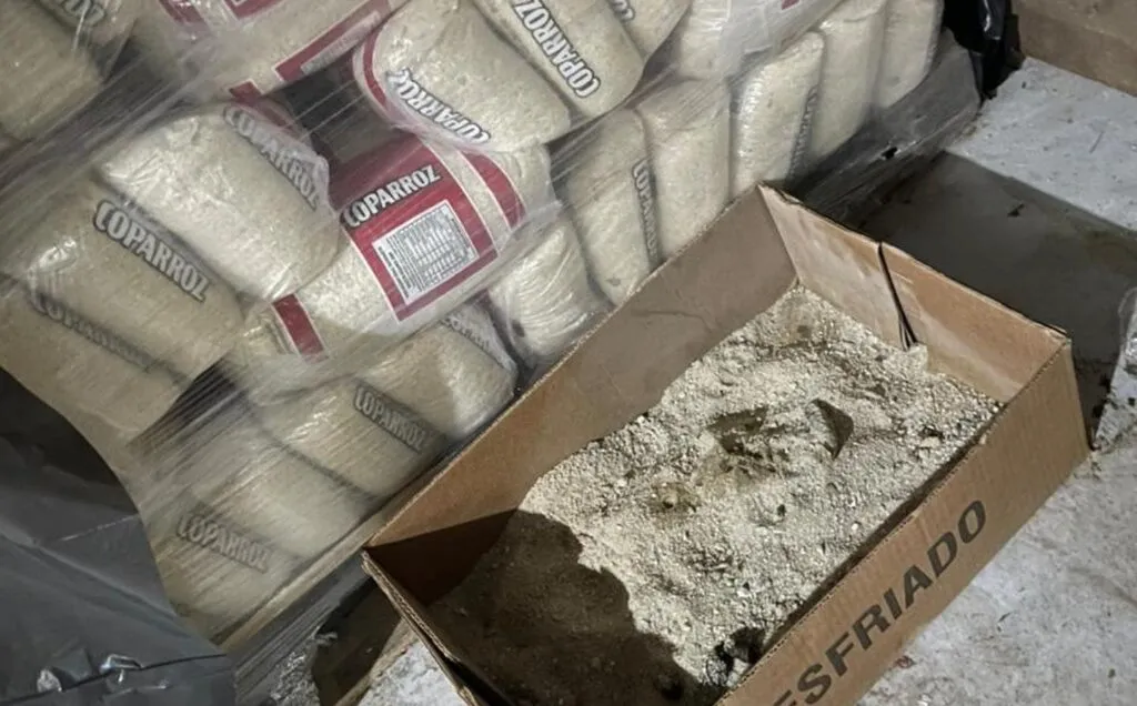 Maricá: Procon autua mercado após encontrar gatos em depósito 8 caixa areia fezes gatos