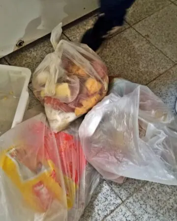 Itaipuaçu: Fiscalização descarta 12kg de produtos impróprios para consumo 9 padaria fisca