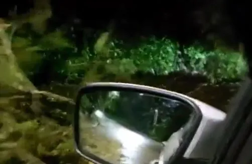 Ventania derruba árvores na Serra da Tiririca em Itaipuaçu e complica o trânsito 8 serra da tiririca