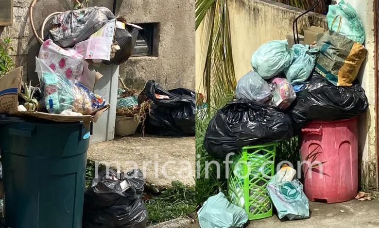 Maricá: Moradores denunciam atraso na coleta de lixo 8 IMG 1373