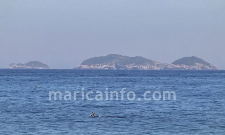 Ilhas Maricás: arquipélago em Itaipuaçu guarda natureza preservada e naufrágio histórico 6 Ilhas Maricas