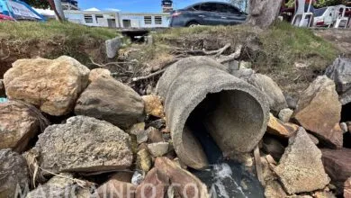 Maricá destina R$ 46 milhões para ampliar rede de esgoto nos quatro distritos da cidade 31 esgoto canal ponta negra foto joao henrique maricainfo 1