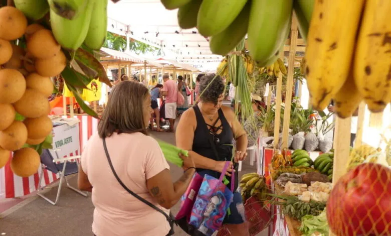 Maricá: Feira Agroecológica terá oficina de compostagem neste sábado (04) em Araçatiba 7 feira agro