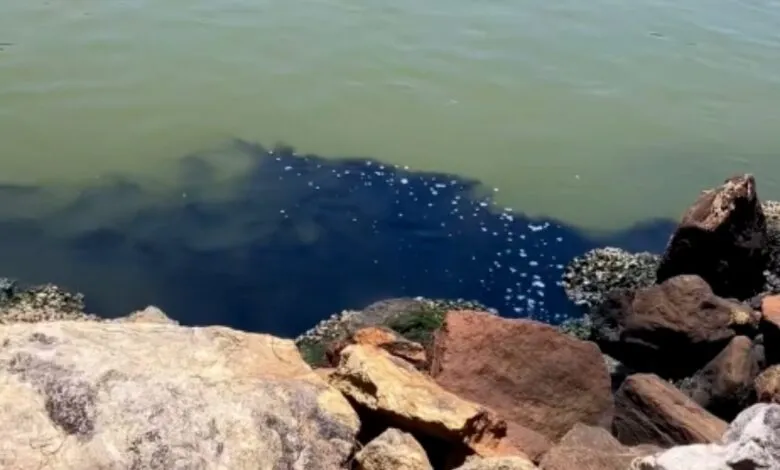 Maricá: Língua negra de esgoto é flagrada por banhistas no canal de Ponta Negra 10 esgoto canal pn