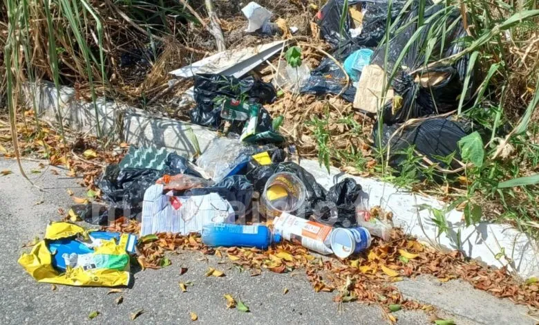 Itaipuaçu: Moradores relatam acúmulo de lixo em terrenos baldios 8 acucenas lixo