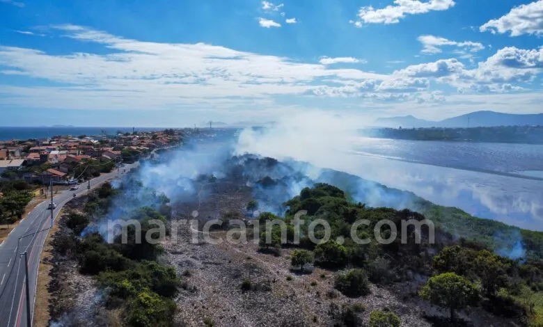 Maricá: Há mais de um mês sem chuvas, queimadas se espalham pela cidade 10 Fogo vegetacao Marica fevereiro 2025