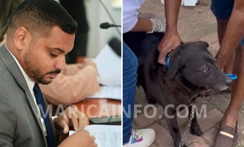 Maricá aprova criação da Patrulha Pet para combater maus-tratos contra animais 5 fabricinho patrulha pet