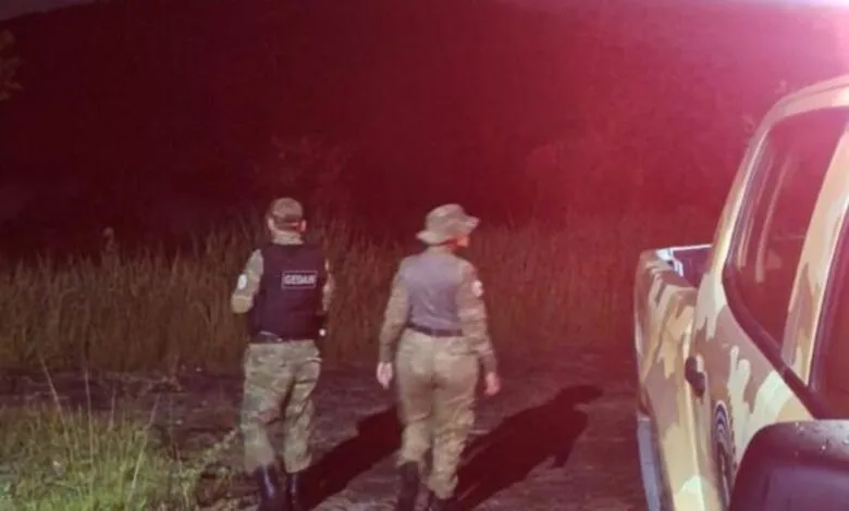 Maricá: Guarda Municipal investiga denúncia de possível onça em sítio rural de Jaconé 10 suspeita onca jacone