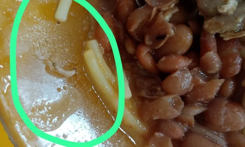 Larvas são encontradas em alimento de escola pública de Maricá 11 Larvas em comida servida a alunos no CEPT em Itaipuacu e1777500524441